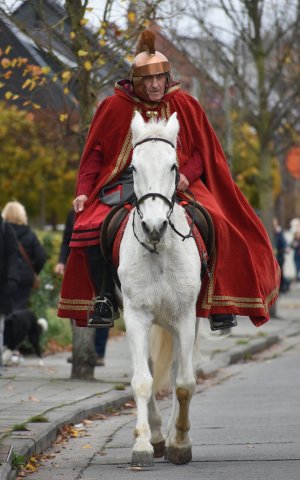 Sint-Maartenviering 2025