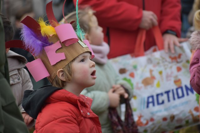 Sint-Maartenviering 2025